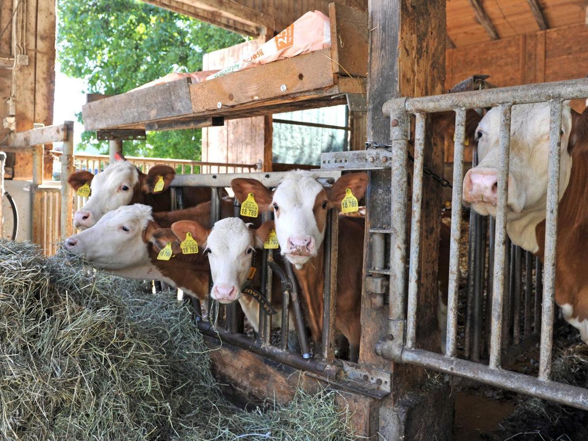 Ferienhof Moyer Höslwang Exteriör bild