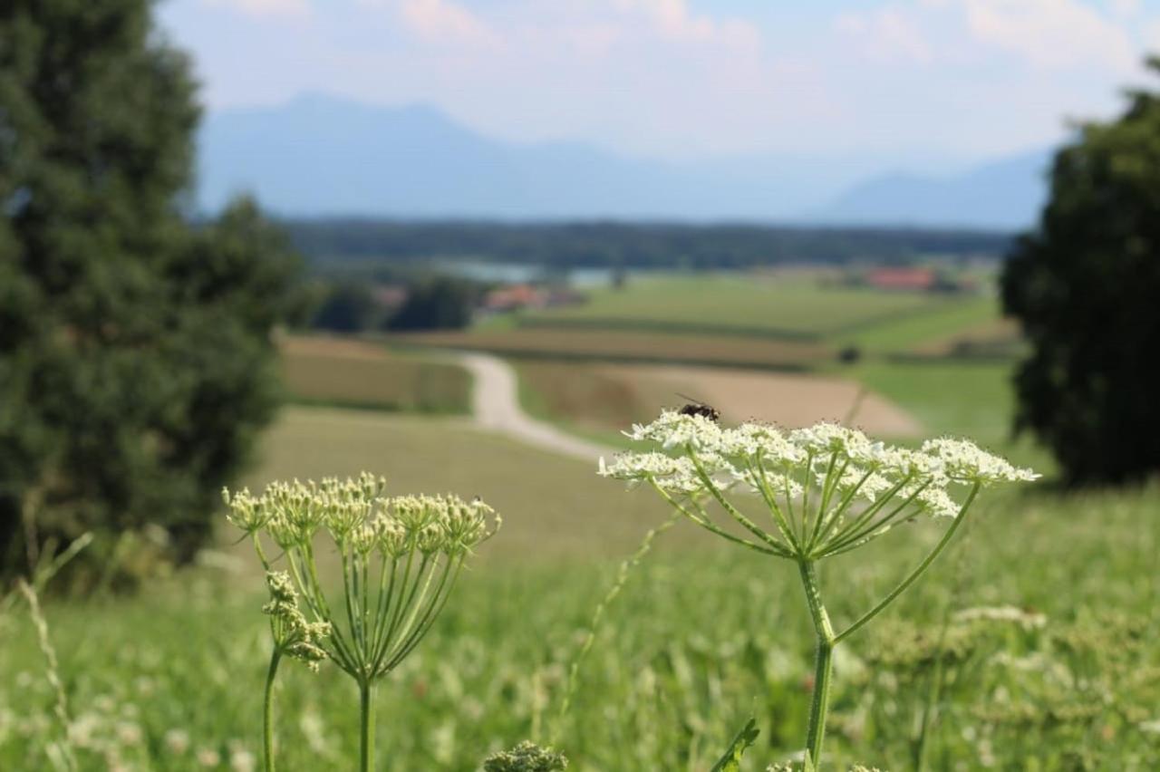 Ferienhof Moyer Höslwang Exteriör bild